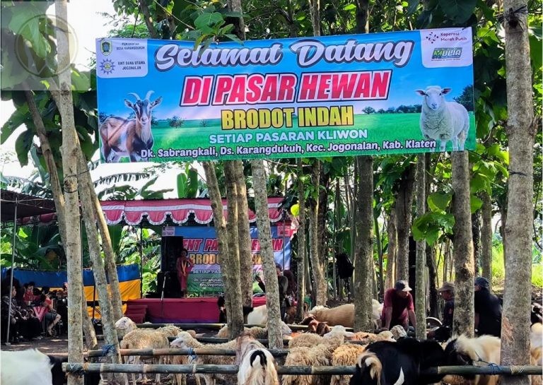 Pasar Hewan Brodot Indah Resmi Dibuka: Solusi Alternatif bagi Peternak Jogonalan